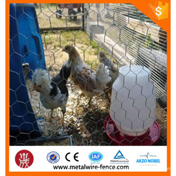 2016 China supplier low price and high quality colorful coated chicken wire mesh